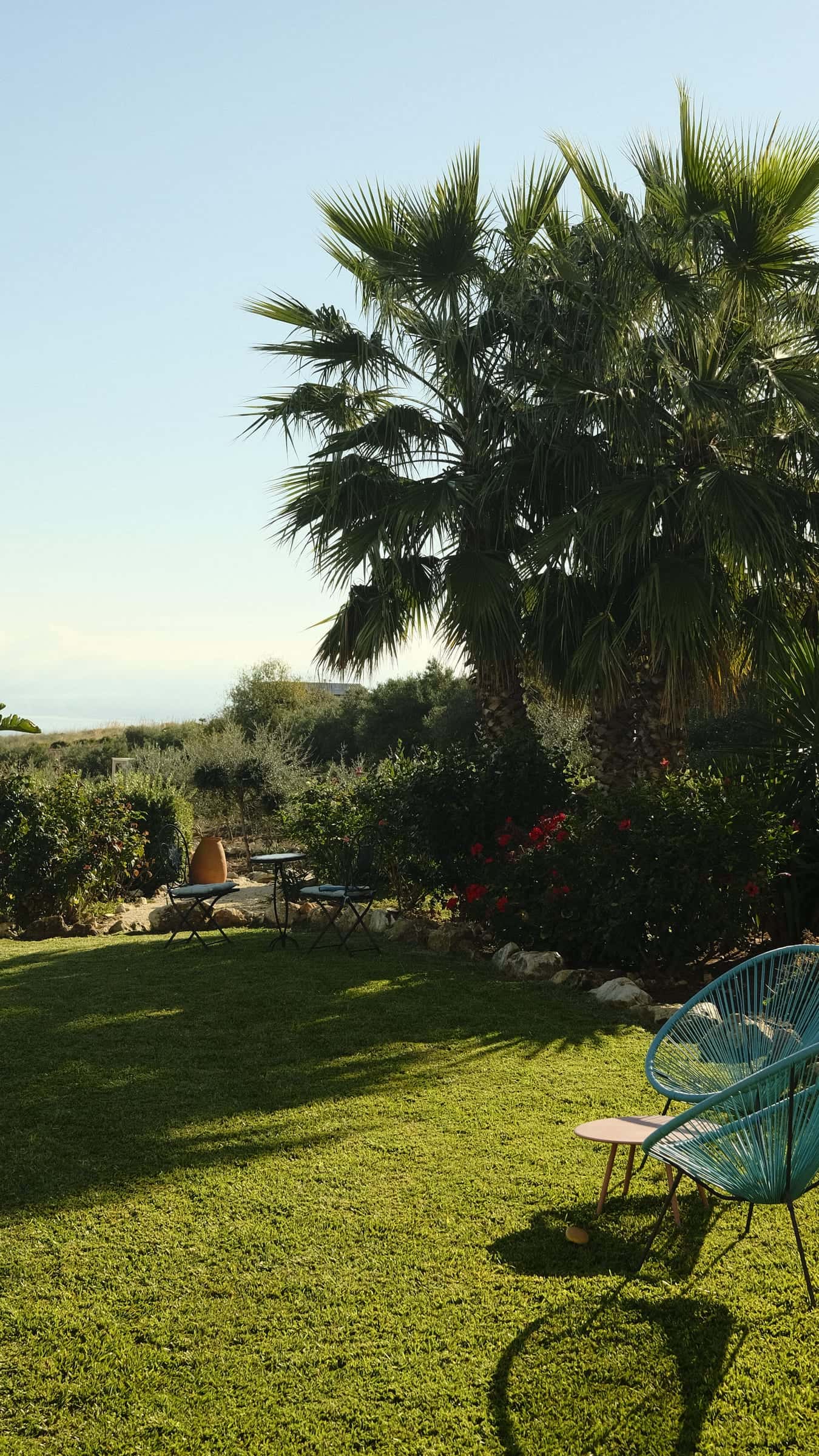 Lawn with two fan palms, red flowering shrubs, a bistro set and a terracotta jar, blue chairs in the foreground